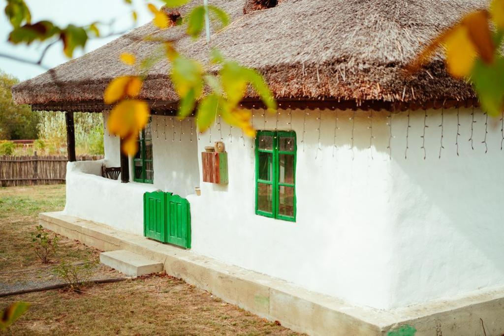 Casuta Muzeu La Artar Konuk evi Calugarenii  Dış mekan fotoğraf