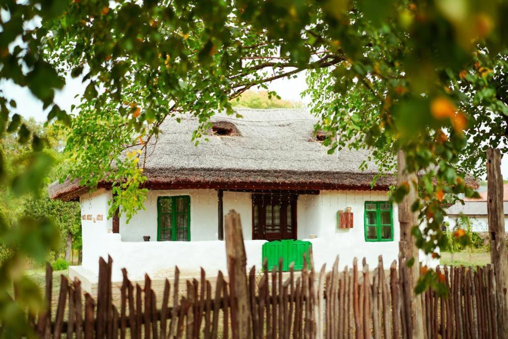 Casuta Muzeu La Artar Konuk evi Calugarenii  Dış mekan fotoğraf